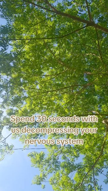 Sometimes you just need a 30sec brain break before you move on to the next video. Also, book your next massage. No hashtags, so if this finds you, you needed a break.