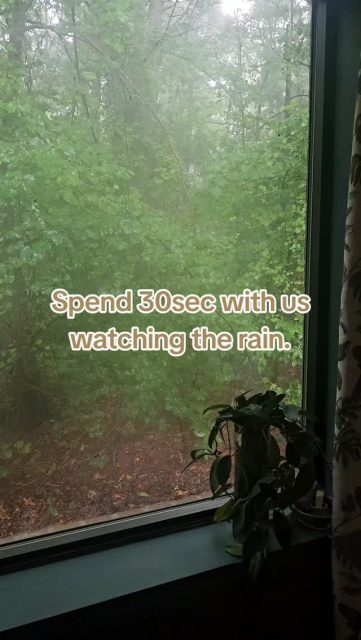 Rainy day vibes. Take a breath here and then resume scrolling.

#sunshine #richmondva #massagetherapy #lymphaticdrainage #fyp